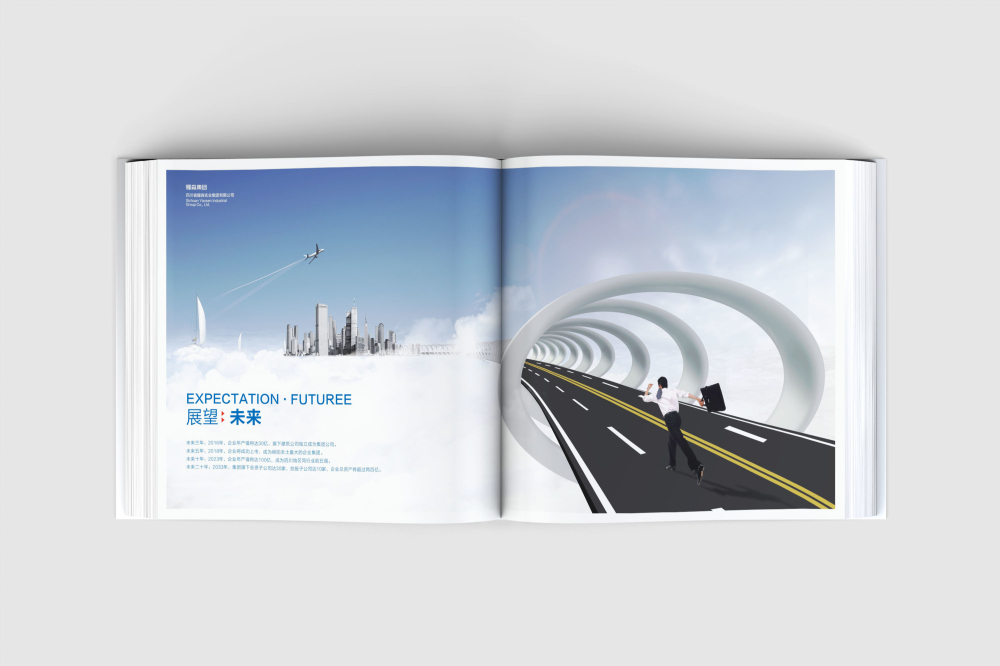 平泉县画册设计